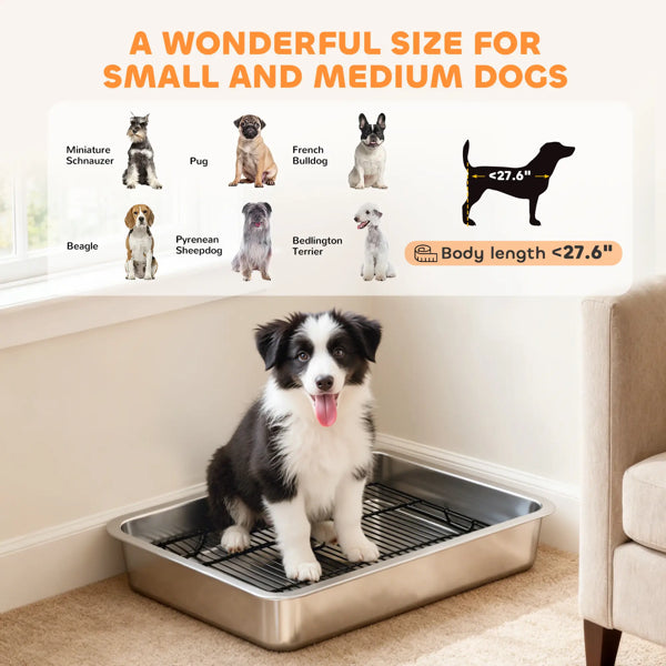 Dog Potty Tray (No Shipments On Weekends)
