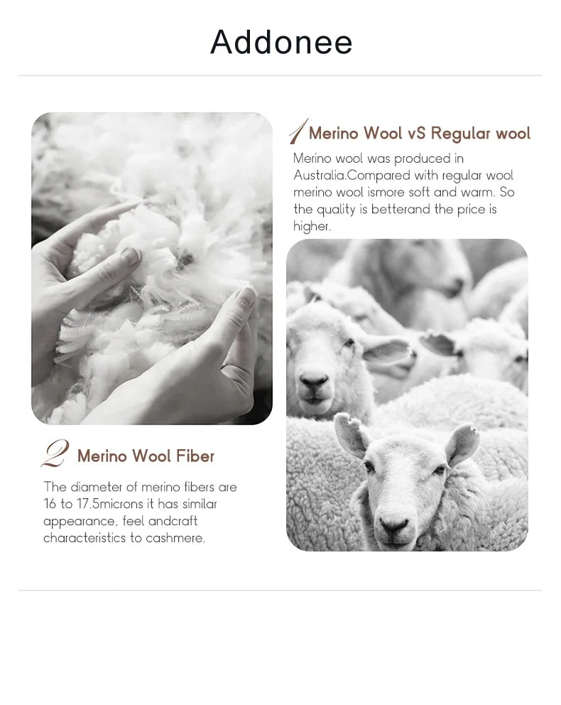 100% Merino Wool Autumn Winter Batwing Sleeves High Neck Pullover Long Sleeve Knitwear Trendy